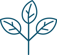 icon-6.png__PID:2a981cd8-f9d3-4b3b-b3a5-4965b011444d